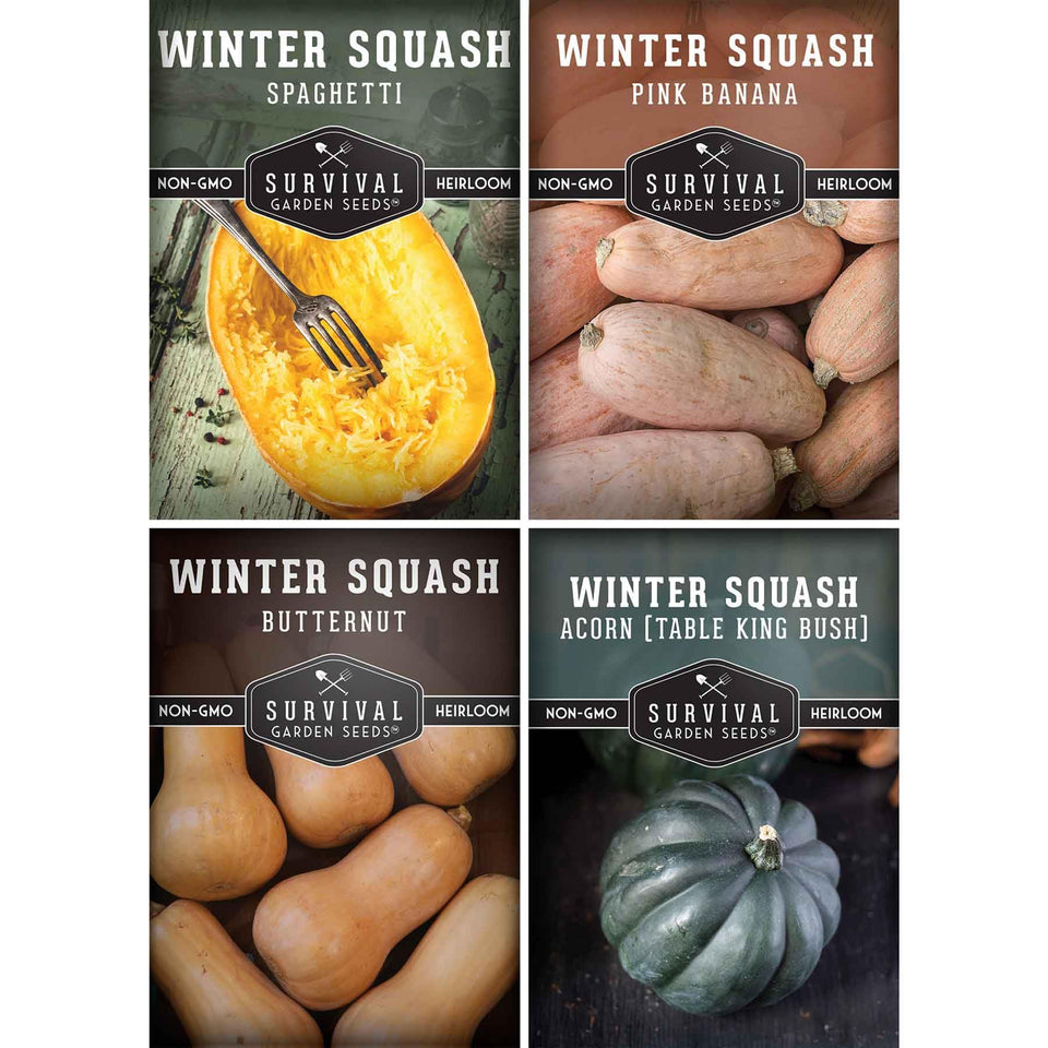 SURVIVAL GARDEN SEEDS four-variety winter squash seeds in a package for diverse garden harvests