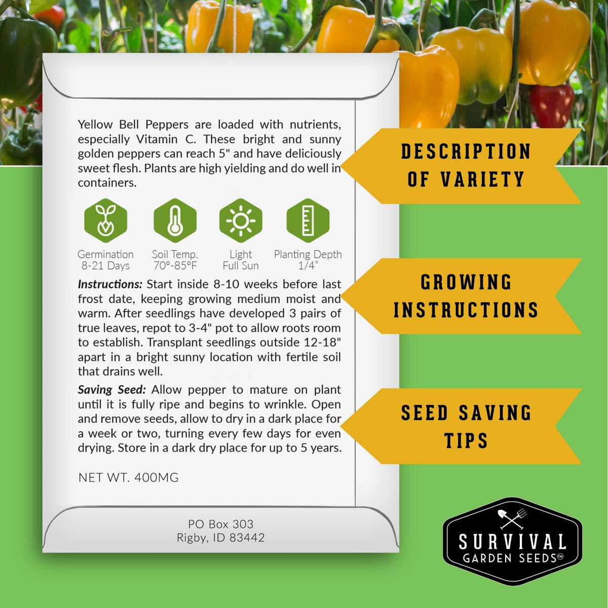 SURVIVAL GARDEN SEEDS yellow bell pepper fruit, ideal for fresh salads and roasting