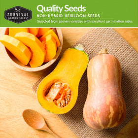Survival Garden Seeds Yellow Straightneck squash seed packet for easy garden yields.
