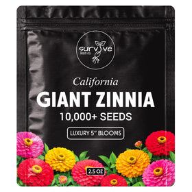 Survive Seed Co. Zinnia seeds California Giants pack — vivid blooms for dramatic garden borders.