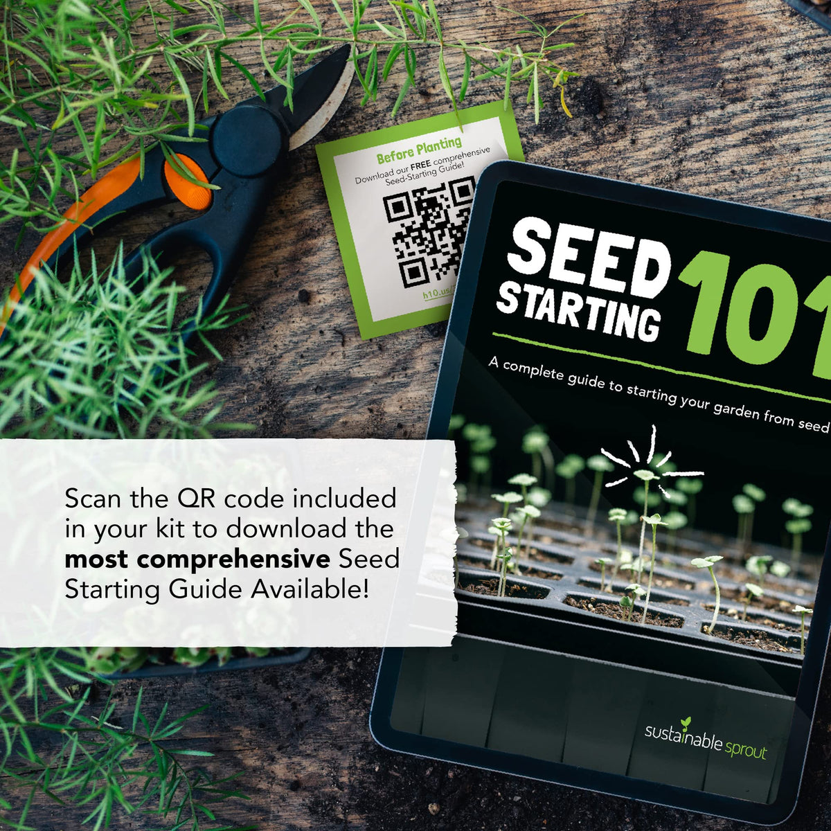 Sustainable Sprout chives seeds pack for delicate onion-like garnish