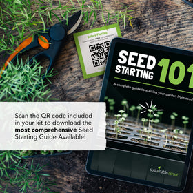 Sustainable Sprout chives seeds pack for delicate onion-like garnish