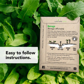 Sustainable Sprout edible flower variety pack for thriving home garden color