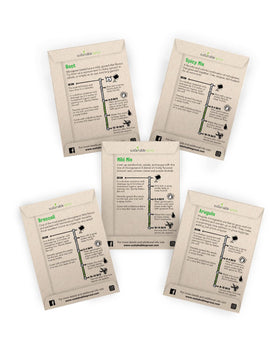 Sustainable Sprout five-varieties microgreens pack ready for quick indoor harvest