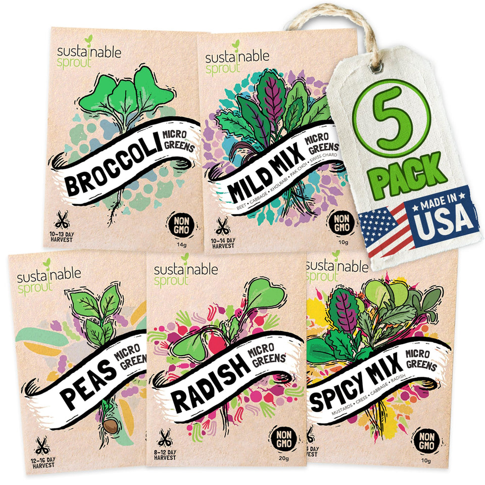 Sustainable Sprout seed packet design shows five microgreens for home growing
