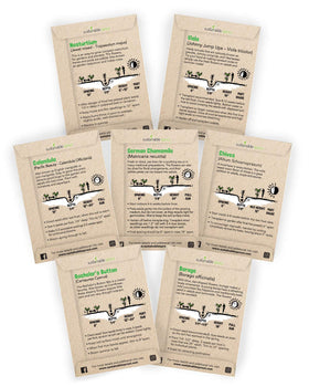 Sustainable Sprout viola seeds pack for vibrant edible flowers in salads
