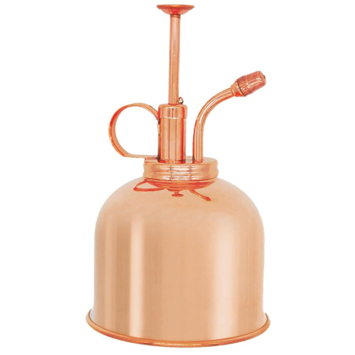 Sustainable Village Watering Can for indoor plants with precise moisture control.