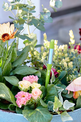 Sustee Aquameter green design emphasizes unobtrusive plant care.