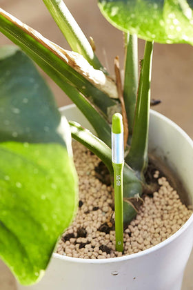 Sustee Aquameter ideal for houseplants in large pots