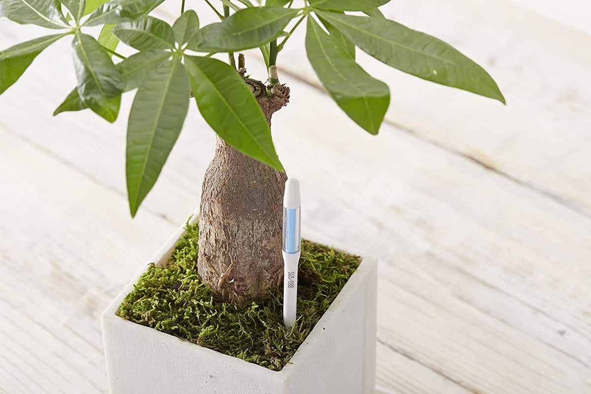 Sustee Aquameter helps you keep hands clean with visual watering cues