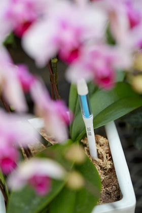 Sustee Aquameter packaging includes five sticks designed for pot sizes 3.5–6 inches.