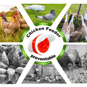 SuSuHan waterproof rain hood protects feed during rain, keeping birds fed.