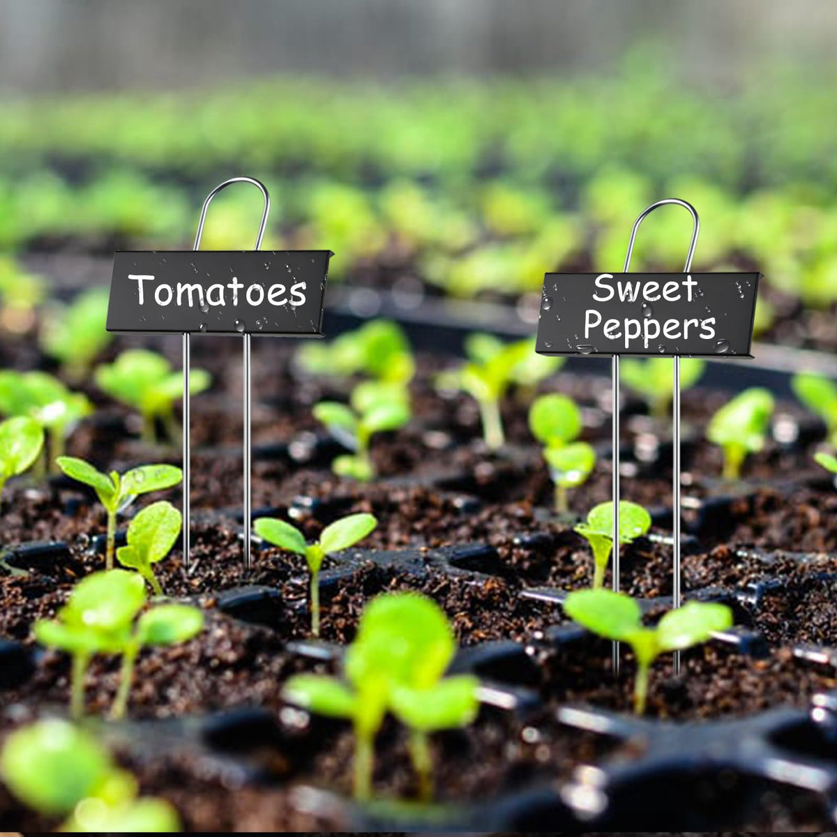 SUSUSUBAO reusable eco-friendly labels support sustainable gardening.