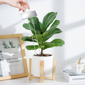SUSUSUBAO waterproof garden markers withstand rain and sun without fading