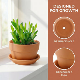 Suwimut 4-pack terracotta pots displayed together for windowsill decor