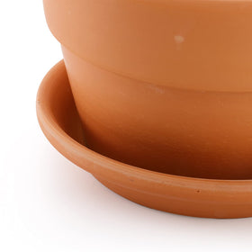 Suwimut saucer and tray set catching excess water to protect surfaces