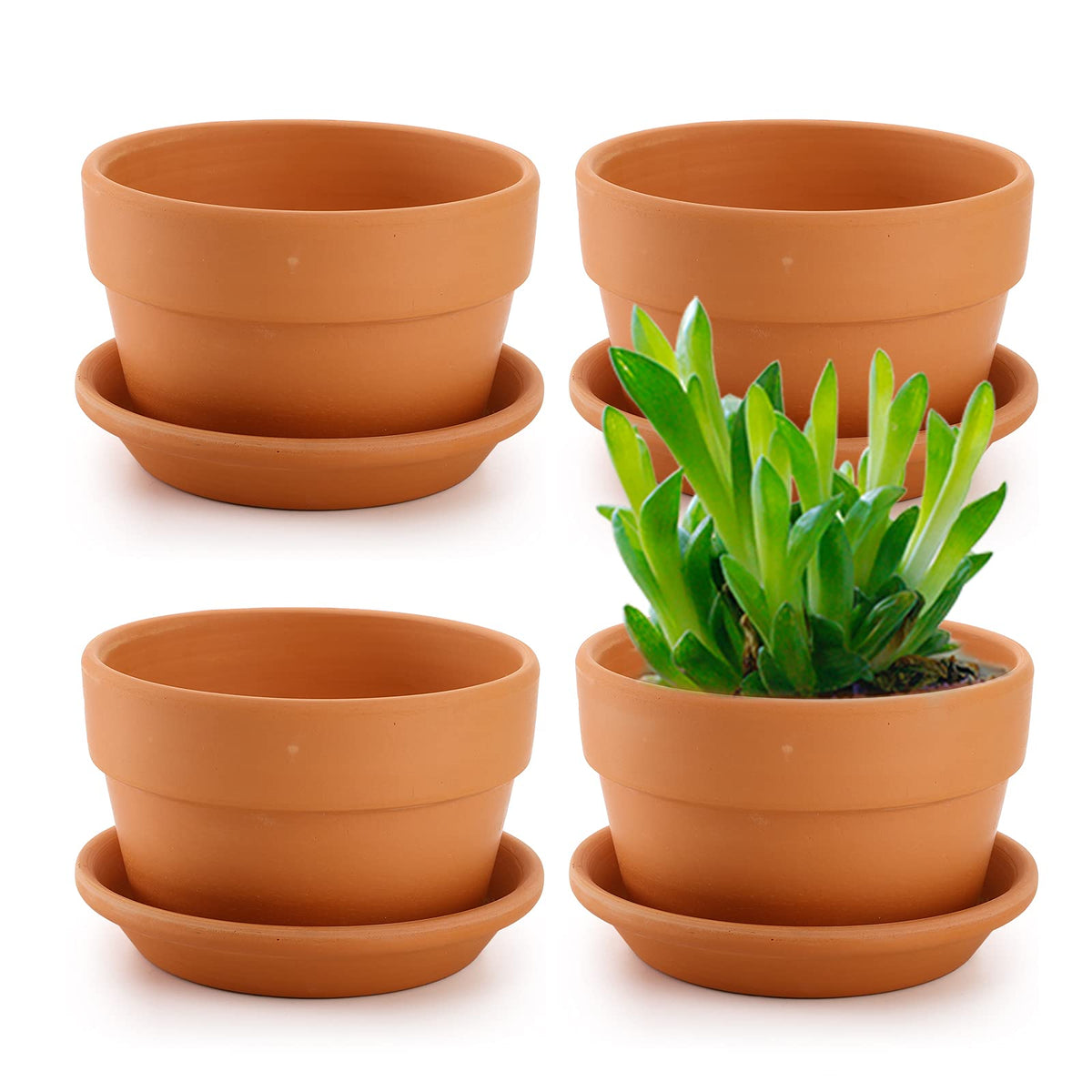 Suwimut terracotta pot 6-inch front view, breathable design for well-drained soil