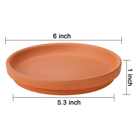 Suwimut terracotta saucer smooth edge focuses on spill-free watering.