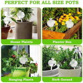 Suyeah Gift-Ready Gardening Globes ideal for plant lovers and gardeners.