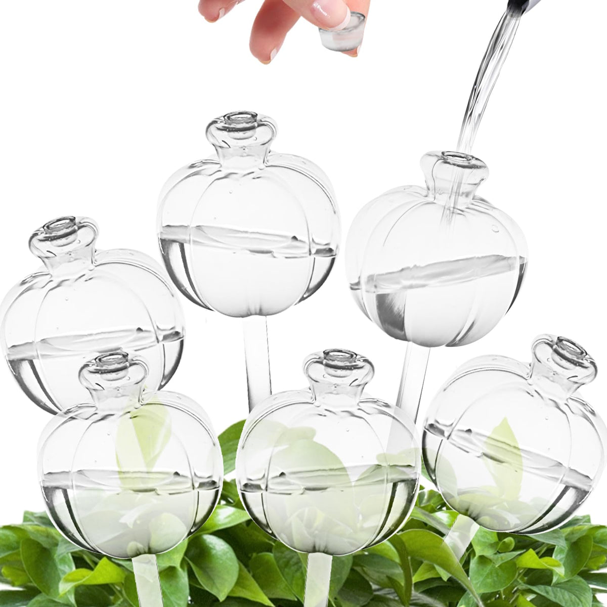 Suyeah Pumpkin Top-Fill Globes: quick, clean refills for indoor plant care.