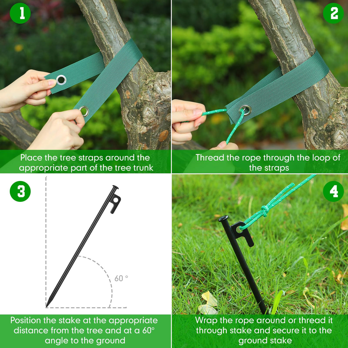 Suzile kit in use shows easy vertical alignment of a leaning tree.