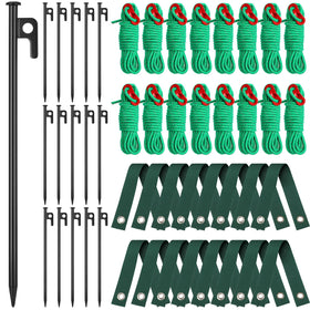 Suzile Tree Stake Kit with steel stakes stabilizes a young sapling against wind.