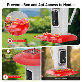 SV3C hummingbird feeder 2K video delivers sharp daytime footage of visiting hummingbirds.