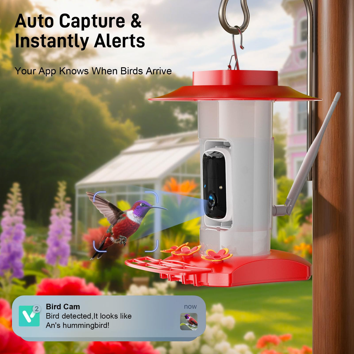 SV3C hummingbird feeder bee-proof ports keep nectar safe from honeybees while watching birds.