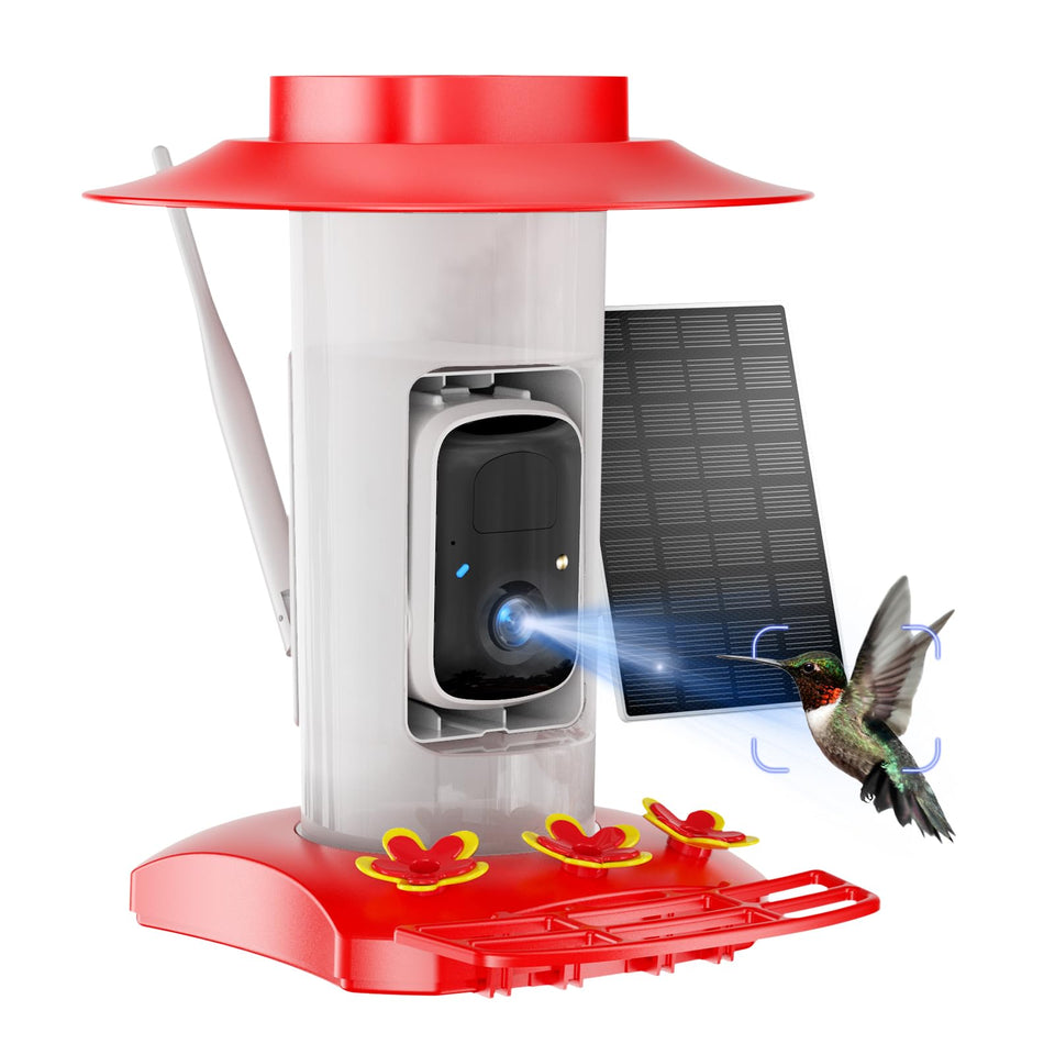 SV3C hummingbird feeder camera front view captures vivid daytime visits for quick monitoring.