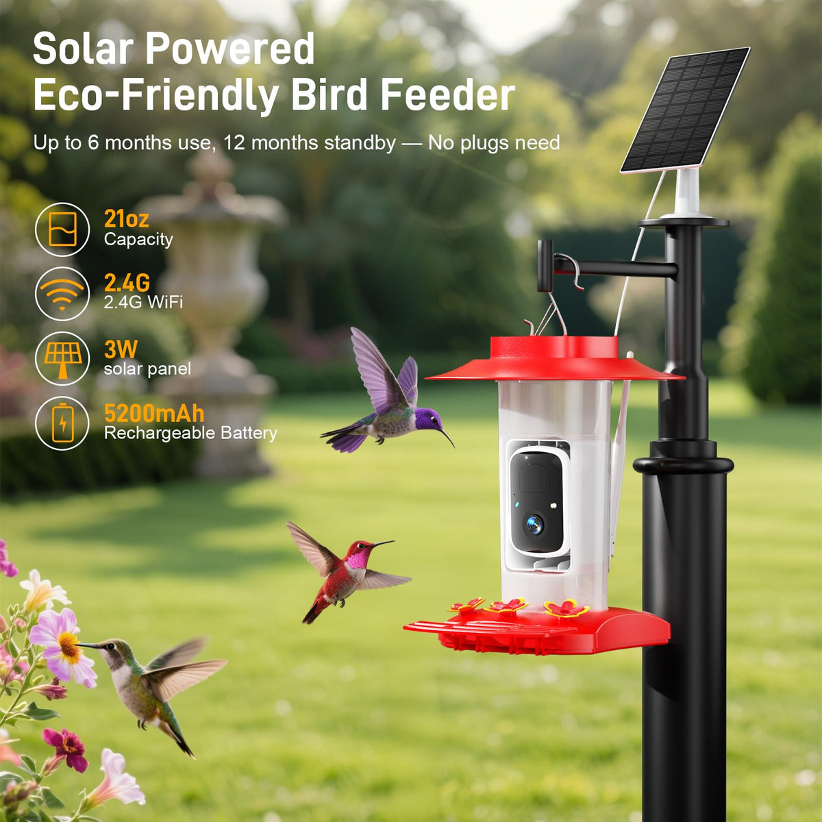SV3C hummingbird feeder infrared night vision reveals nocturnal visits with clear detail.