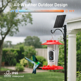 SV3C solar panel powers the feeder for extended wildlife watching.