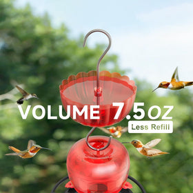 SVEDVK ant moat red four-pack setup demonstrates easy installation under a hummingbird feeder
