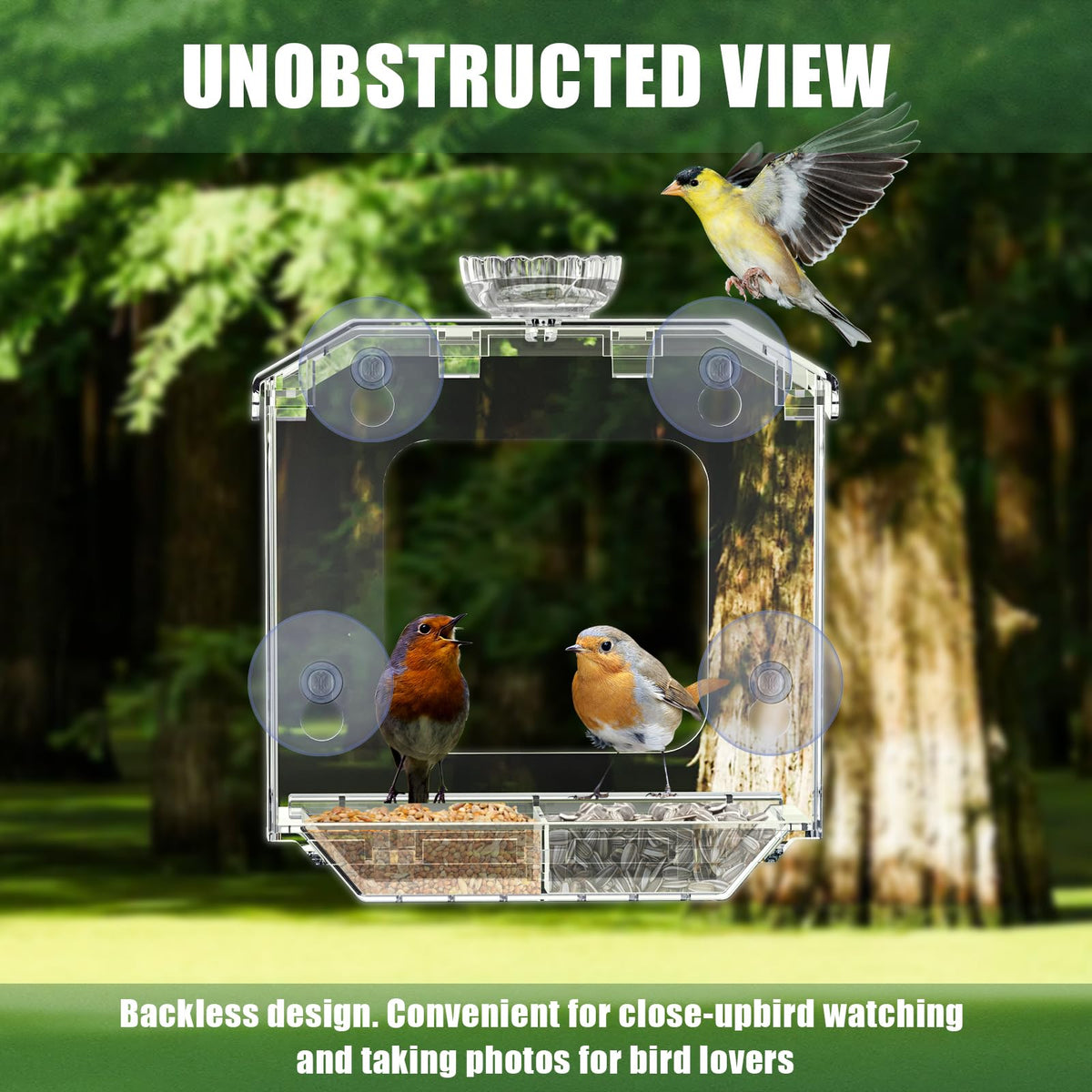 SVEDVK window bird feeder viewed from inside the kitchen for birdwatching