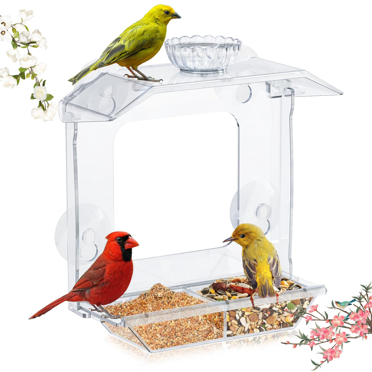 SVEDVK clear window bird feeder mounted on glass for close-up bird viewing