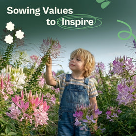 SVI 1600 pollinator-friendly seeds attract butterflies and hummingbirds.
