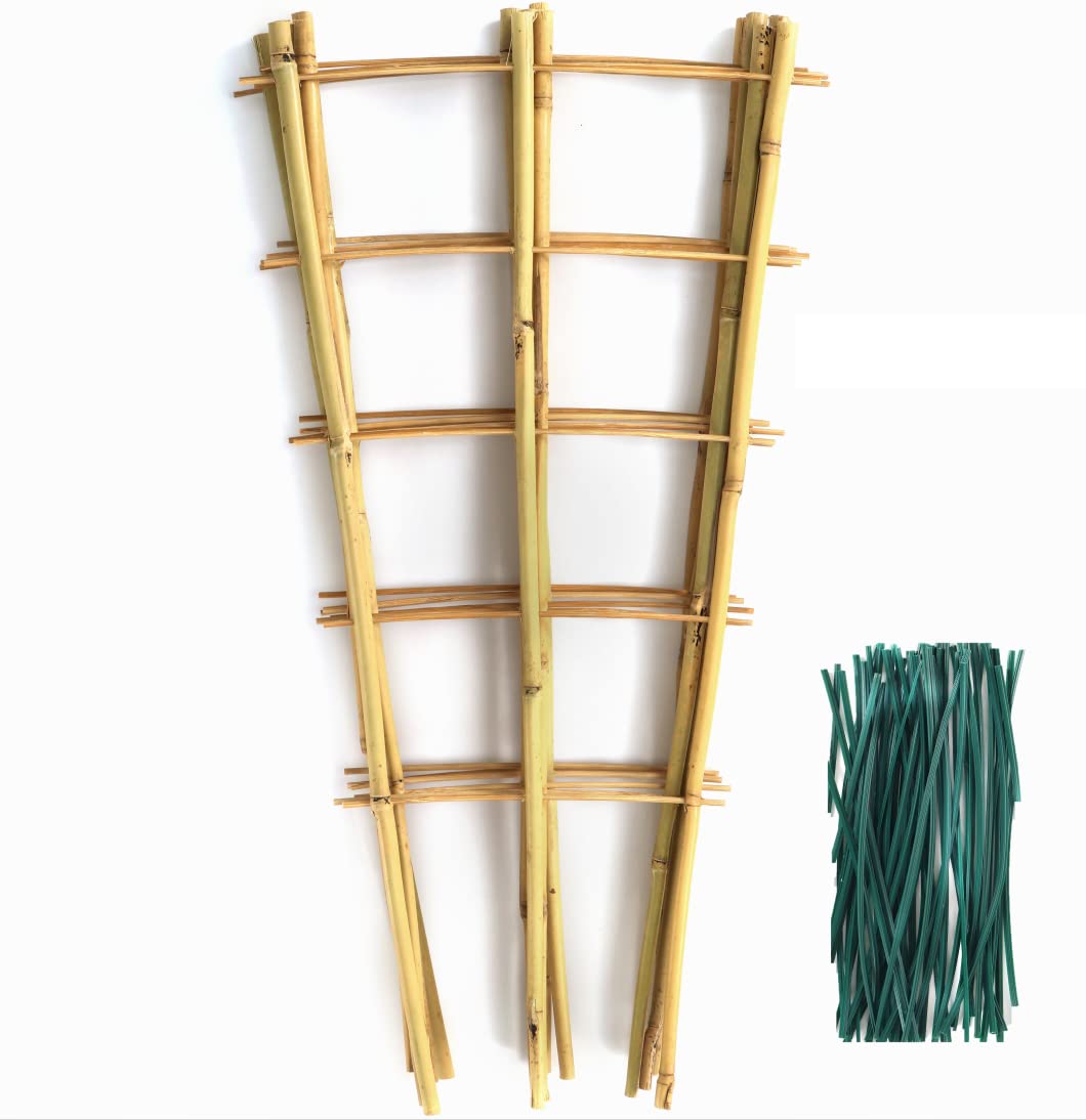 SWANGSA bamboo trellis 24in fan-shaped support helps climbing plants reach sunlight.