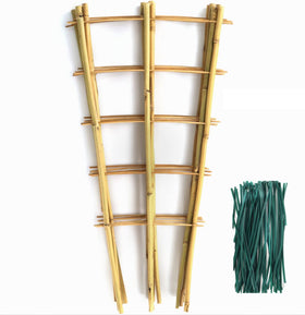 SWANGSA bamboo trellis 24in fan-shaped support helps climbing plants reach sunlight.