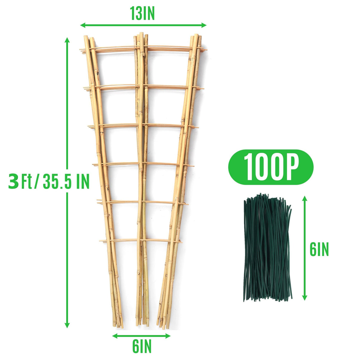 SWANGSA bamboo trellis 3ft side view showing setup