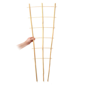 SWANGSA indoor-outdoor compatible trellis setup