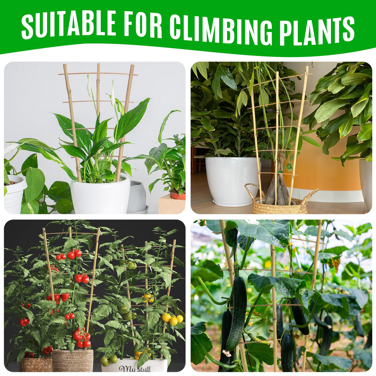 SWANGSA bamboo trellis installed in pots or beds for vertical growth.