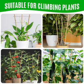 SWANGSA bamboo trellis installed in pots or beds for vertical growth.