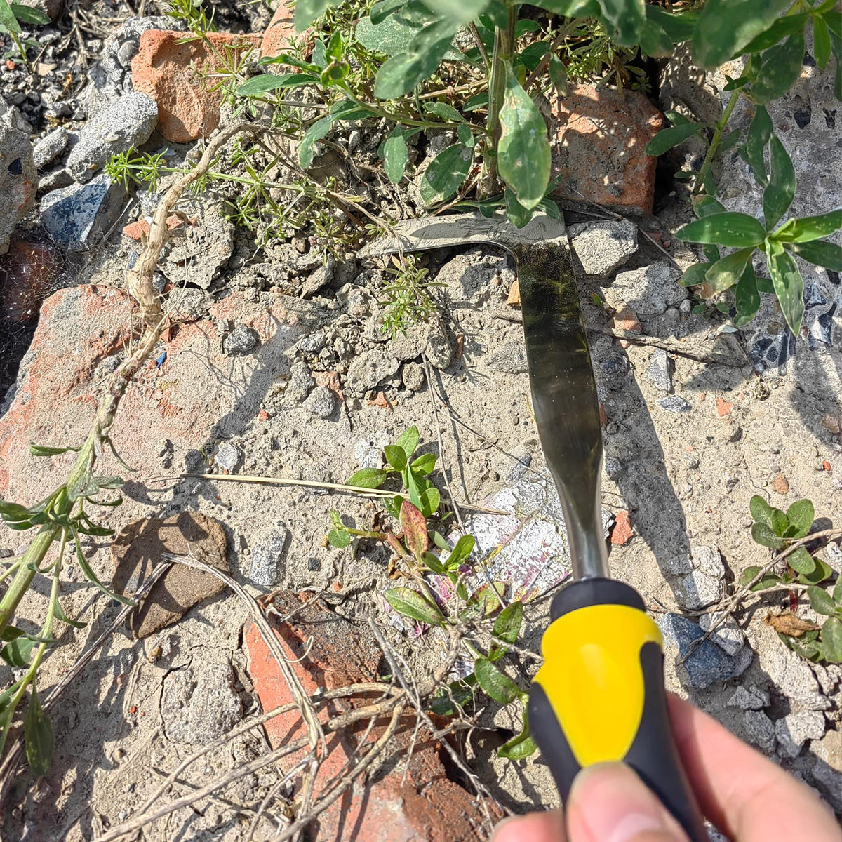 SWANSOFT Crack Weeder clears moss from a crack