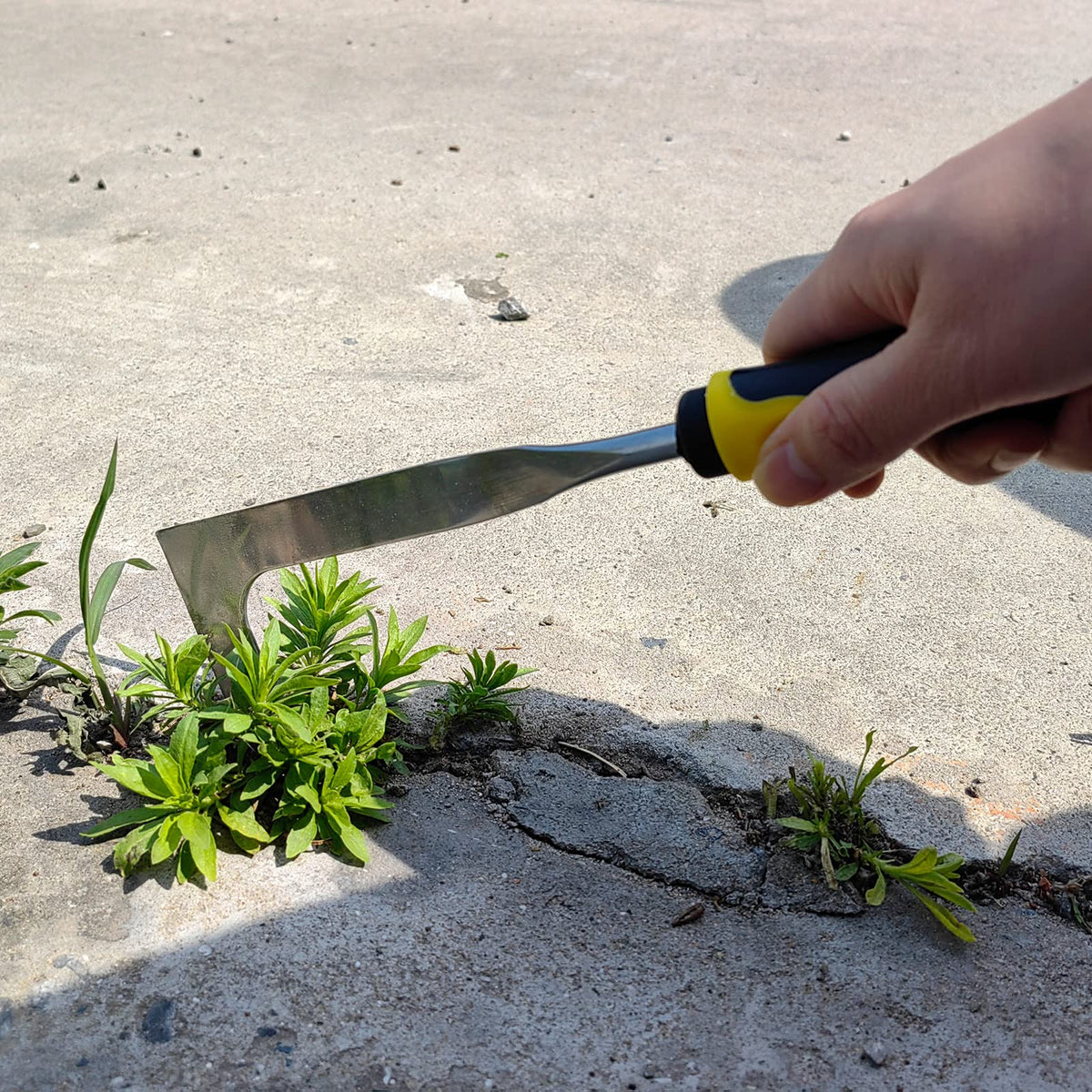 SWANSOFT Crack Weeder tackles weeds along walls and walkways