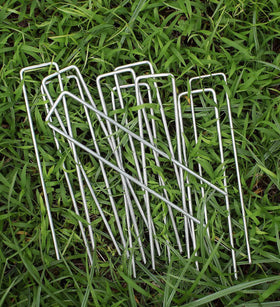 Sweecomb stake securing drip irrigation pipes along garden edges.