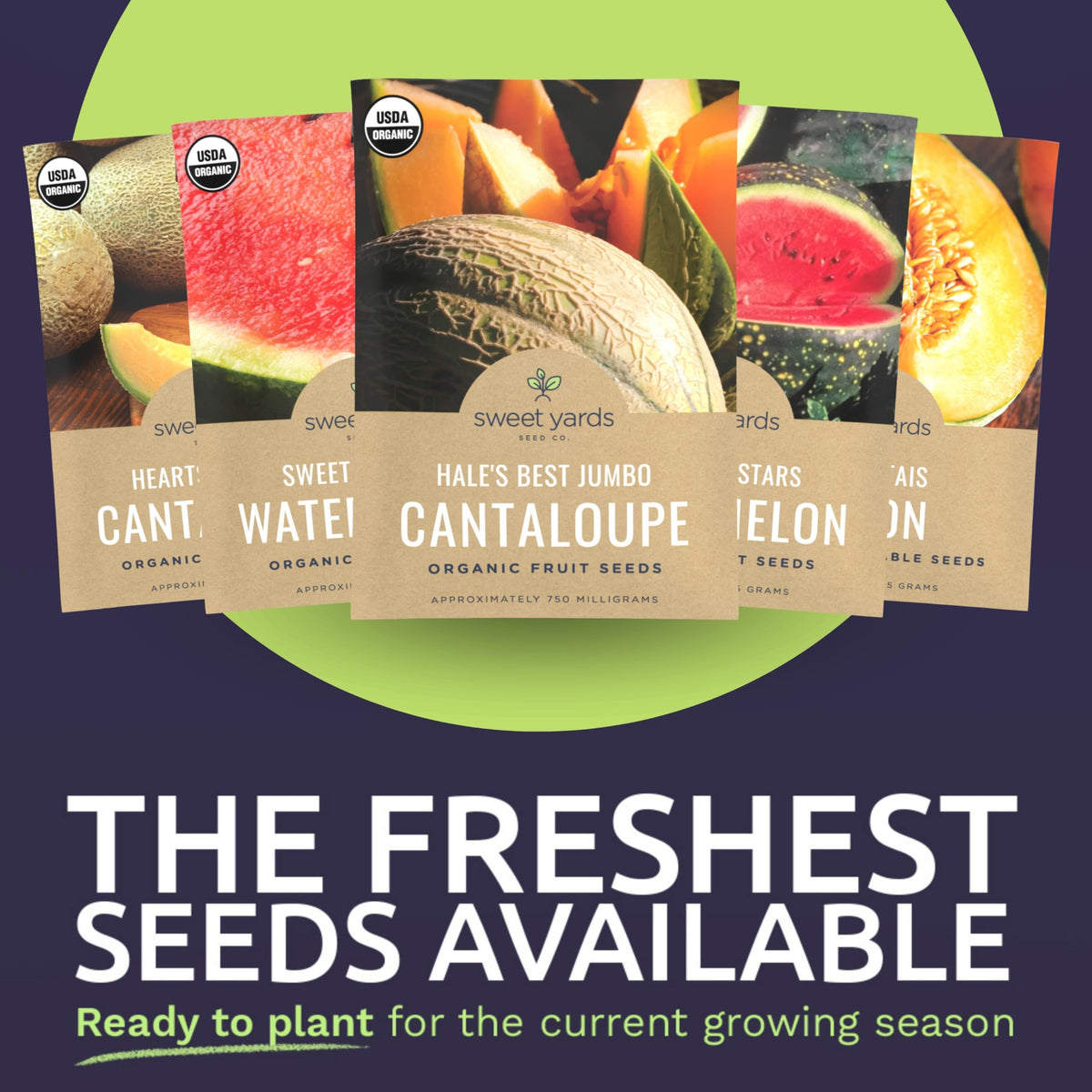 Sweet Yards 2026 fresh seeds pack indicates high germination potential.
