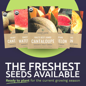 Sweet Yards 2026 fresh seeds pack indicates high germination potential.