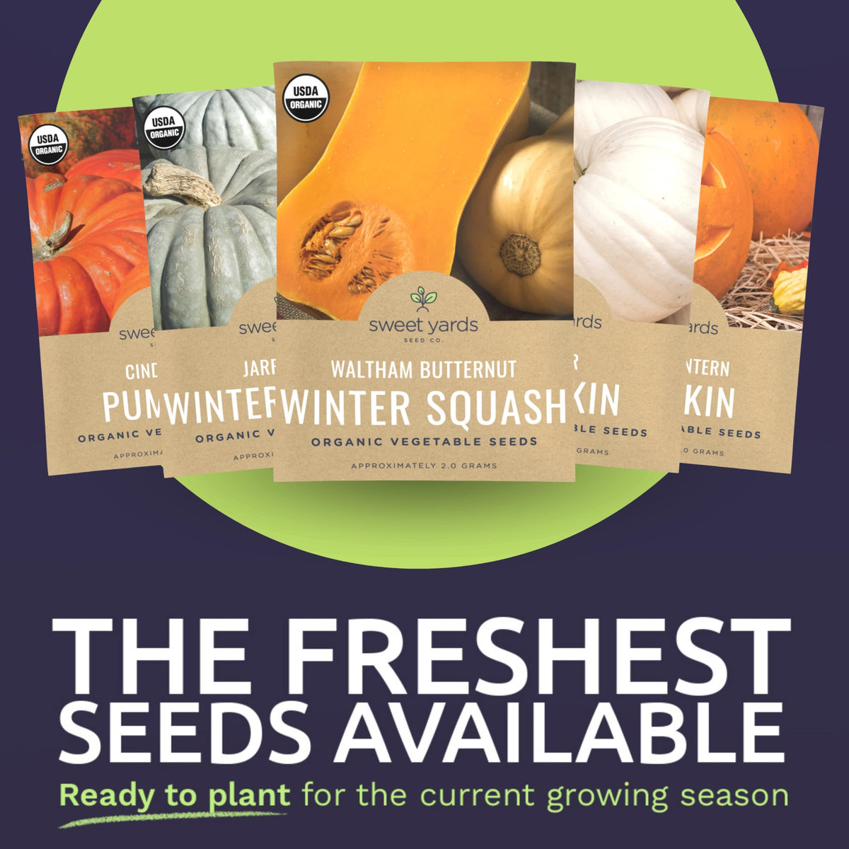 Sweet Yards 2026 season seeds, fresh quality for reliable planting.