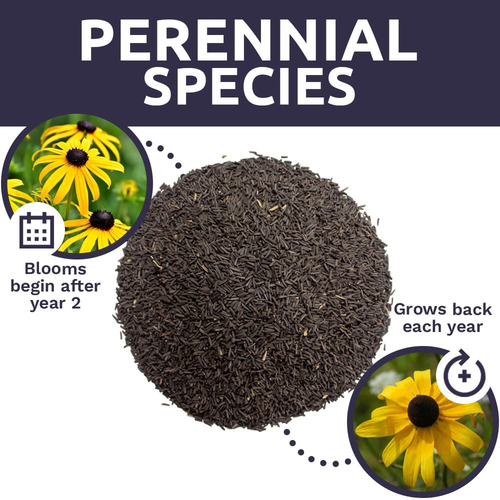 Sweet Yards seed coverage up to 600 square feet for large beds