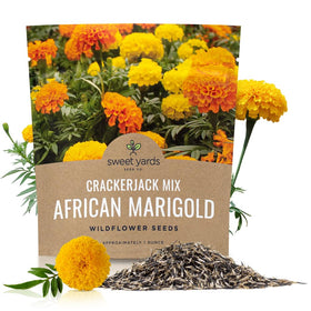 Sweet Yards Crackerjack Mix bloom closeup showing vibrant orange-yellow marigolds and pollinator appeal