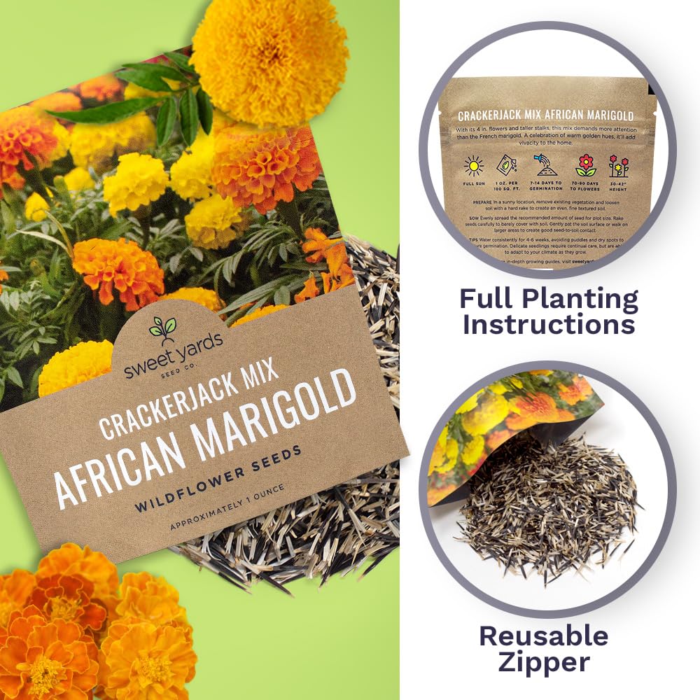 Sweet Yards Crackerjack Mix sunny border with bold marigold color accents